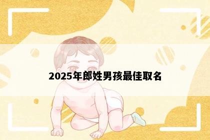 2025年郎姓男孩最佳取名