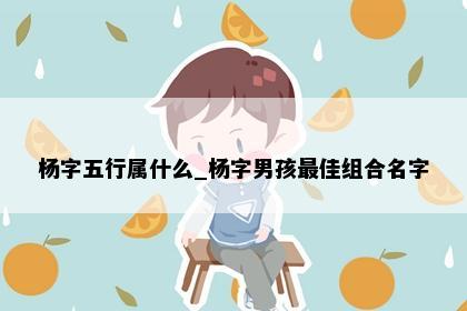 杨字五行属什么_杨字男孩最佳组合名字