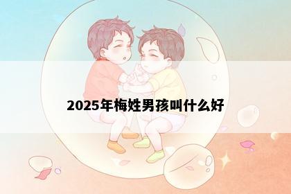 2025年梅姓男孩叫什么好