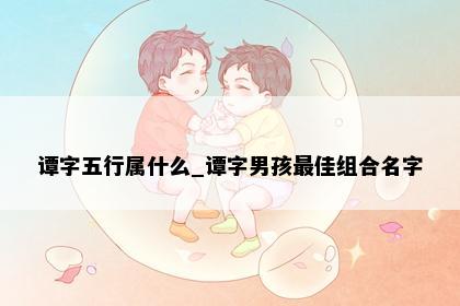 谭字五行属什么_谭字男孩最佳组合名字