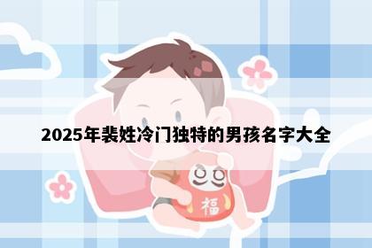 2025年裴姓冷门独特的男孩名字大全