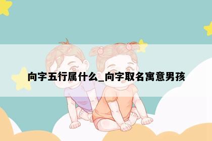 向字五行属什么_向字取名寓意男孩