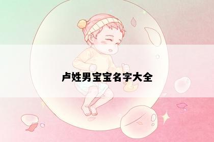 卢姓男宝宝名字大全