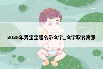 2025年男宝宝起名带文字_文字取名寓意