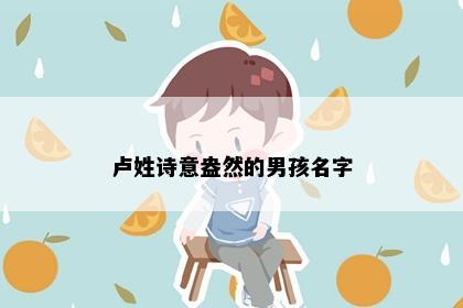 卢姓诗意盎然的男孩名字