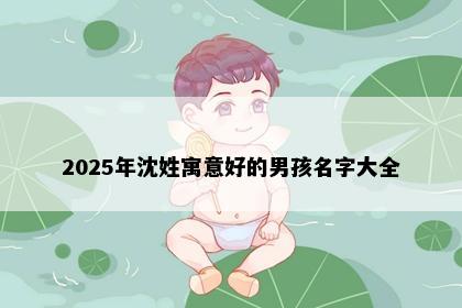 2025年沈姓寓意好的男孩名字大全