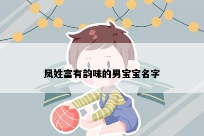 凤姓富有韵味的男宝宝名字