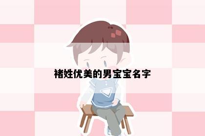 褚姓优美的男宝宝名字