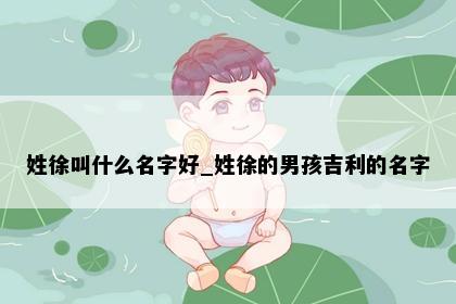 姓徐叫什么名字好_姓徐的男孩吉利的名字
