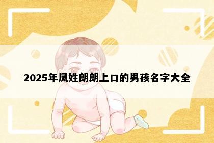 2025年凤姓朗朗上口的男孩名字大全