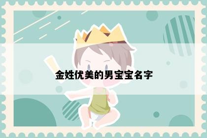 金姓优美的男宝宝名字