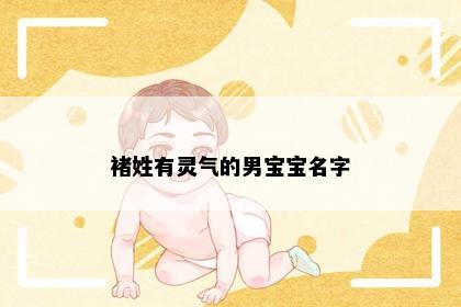 褚姓有灵气的男宝宝名字