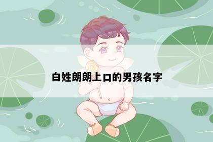 白姓朗朗上口的男孩名字
