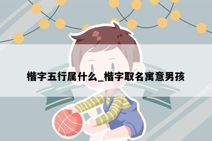 楷字五行属什么_楷字取名寓意男孩
