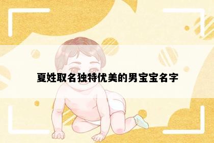 夏姓取名独特优美的男宝宝名字