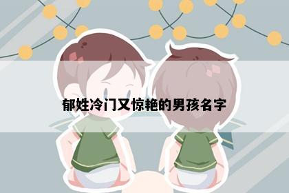 郁姓冷门又惊艳的男孩名字