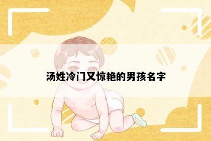 汤姓冷门又惊艳的男孩名字