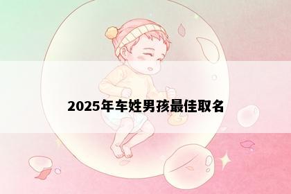 2025年车姓男孩最佳取名