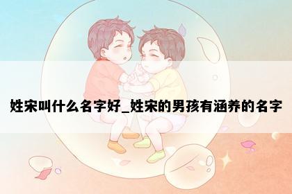 姓宋叫什么名字好_姓宋的男孩有涵养的名字
