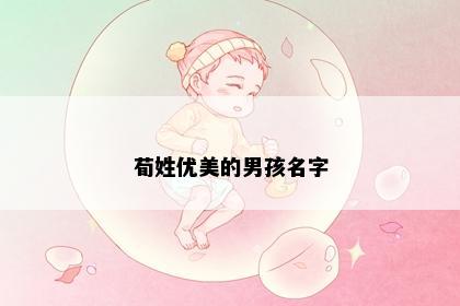 荀姓优美的男孩名字