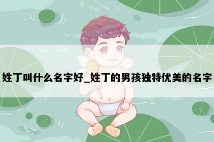 姓丁叫什么名字好_姓丁的男孩独特优美的名字