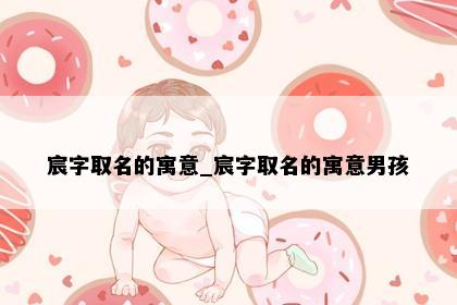 宸字取名的寓意_宸字取名的寓意男孩