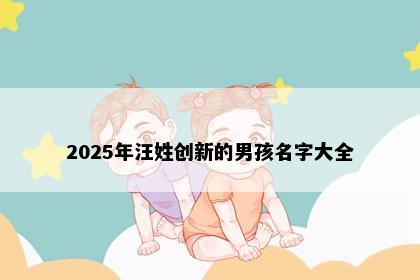 2025年汪姓创新的男孩名字大全