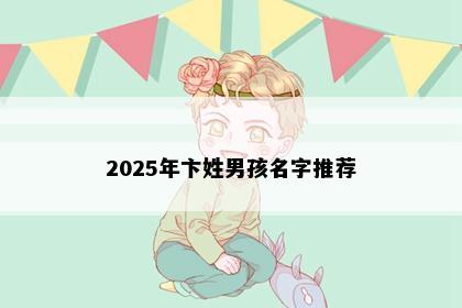 2025年卞姓男孩名字推荐