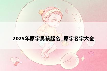 2025年原字男孩起名_原字名字大全