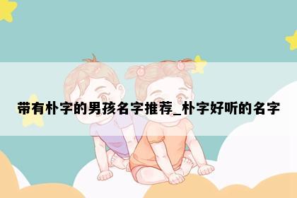 带有朴字的男孩名字推荐_朴字好听的名字