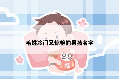 毛姓冷门又惊艳的男孩名字