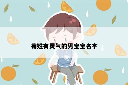 荀姓有灵气的男宝宝名字
