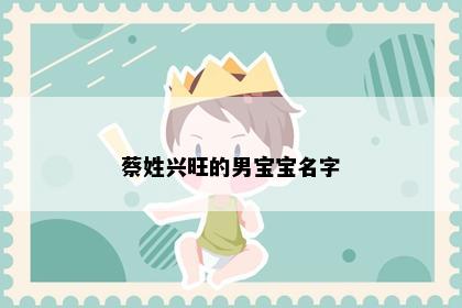 蔡姓兴旺的男宝宝名字