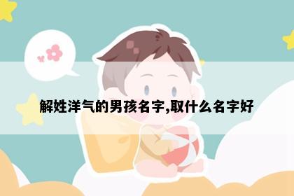 解姓洋气的男孩名字,取什么名字好