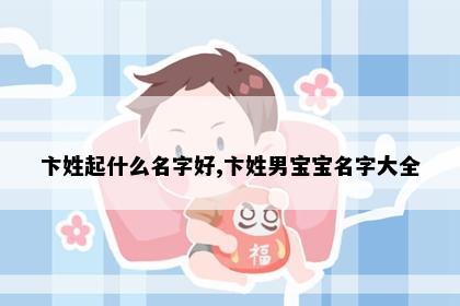 卞姓起什么名字好,卞姓男宝宝名字大全