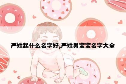 严姓起什么名字好,严姓男宝宝名字大全