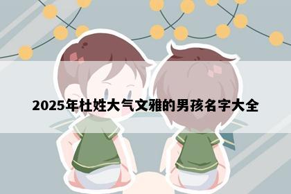 2025年杜姓大气文雅的男孩名字大全