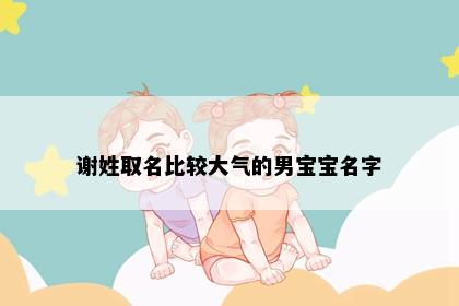 谢姓取名比较大气的男宝宝名字