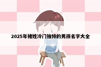 2025年褚姓冷门独特的男孩名字大全