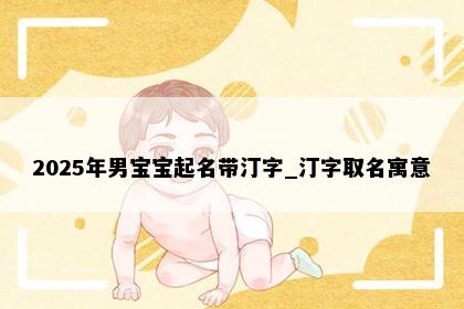 2025年男宝宝起名带汀字_汀字取名寓意