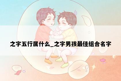 之字五行属什么_之字男孩最佳组合名字