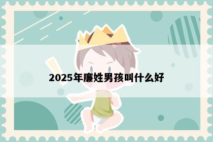 2025年廉姓男孩叫什么好
