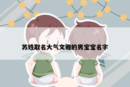 苏姓取名大气文雅的男宝宝名字