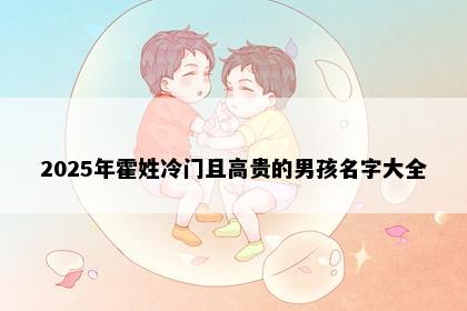 2025年霍姓冷门且高贵的男孩名字大全