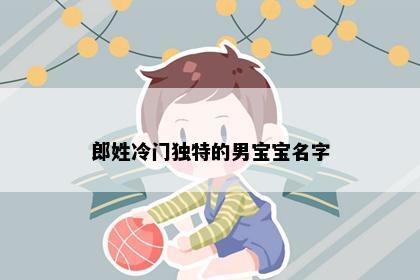 郎姓冷门独特的男宝宝名字