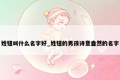姓钮叫什么名字好_姓钮的男孩诗意盎然的名字