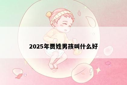 2025年贾姓男孩叫什么好
