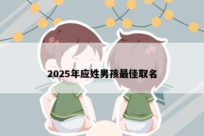 2025年应姓男孩最佳取名
