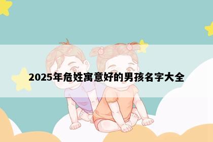 2025年危姓寓意好的男孩名字大全