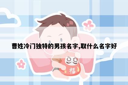 曹姓冷门独特的男孩名字,取什么名字好